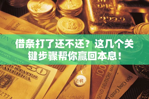 武汉借条打了还不还？这几个关键步骤帮你赢回本息！