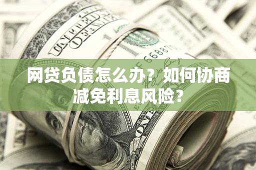 武汉网贷负债怎么办？如何协商减免利息风险？