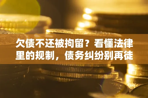 武汉欠债不还被拘留？看懂法律里的规制，债务纠纷别再徒劳奔波