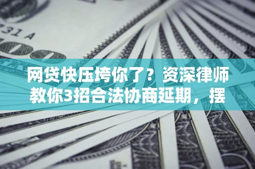 武汉网贷快压垮你了？资深律师教你3招合法协商延期，摆脱暴力催收！