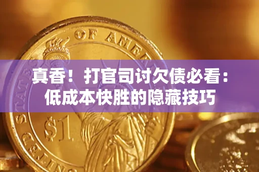 武汉真香！打官司讨欠债必看：低成本快胜的隐藏技巧