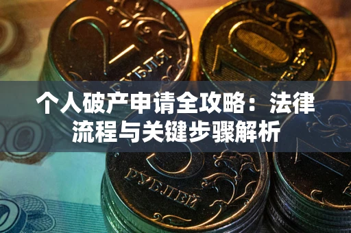 武汉个人破产申请全攻略：法律流程与关键步骤解析
